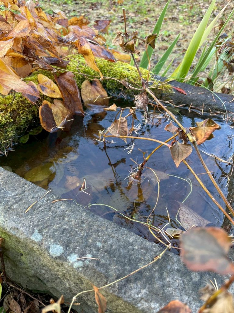 【オープンに向けて③】