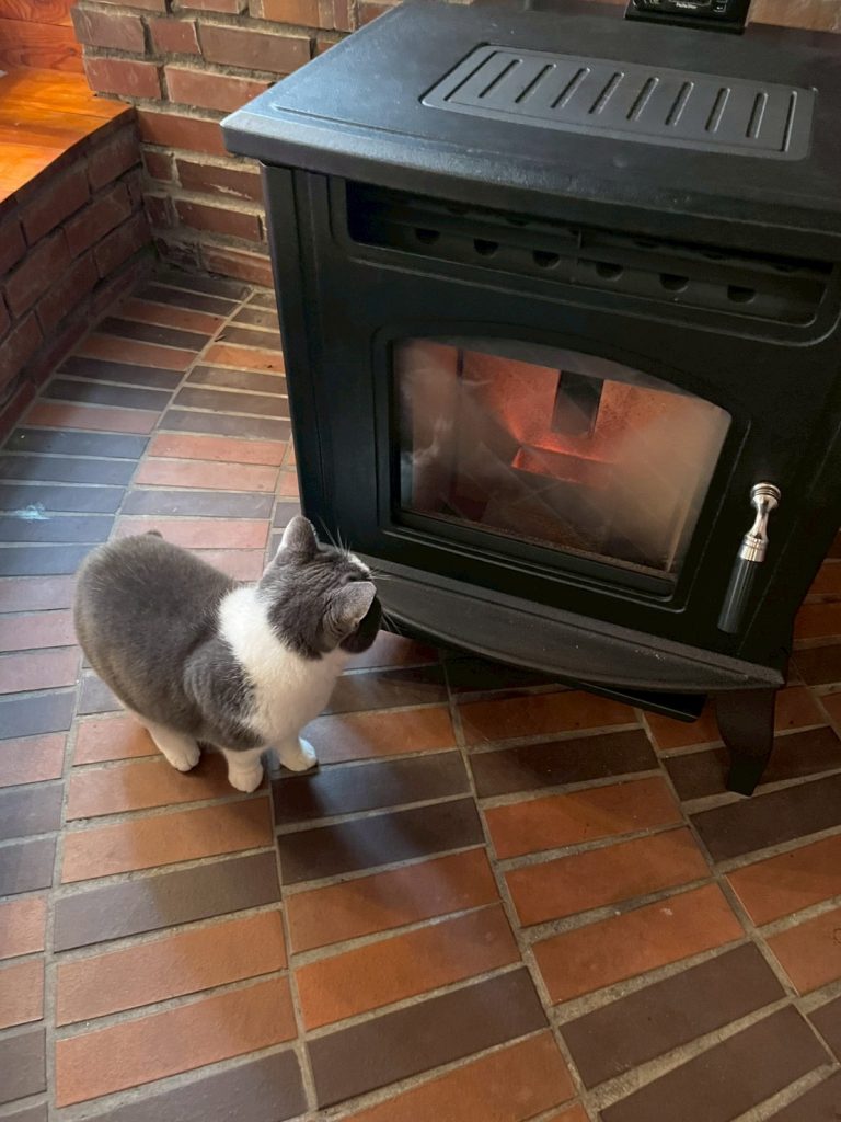 館内ダイニングエリアにペレットストーブ入荷！暖かいです